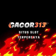 gacor313